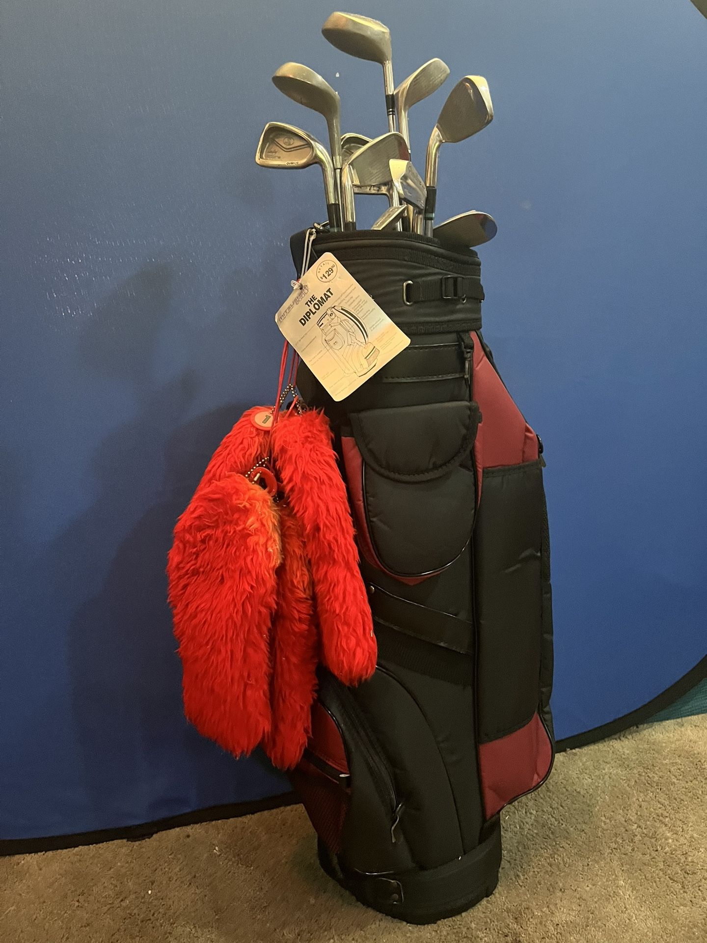 Golf Clubs And Carry Bag