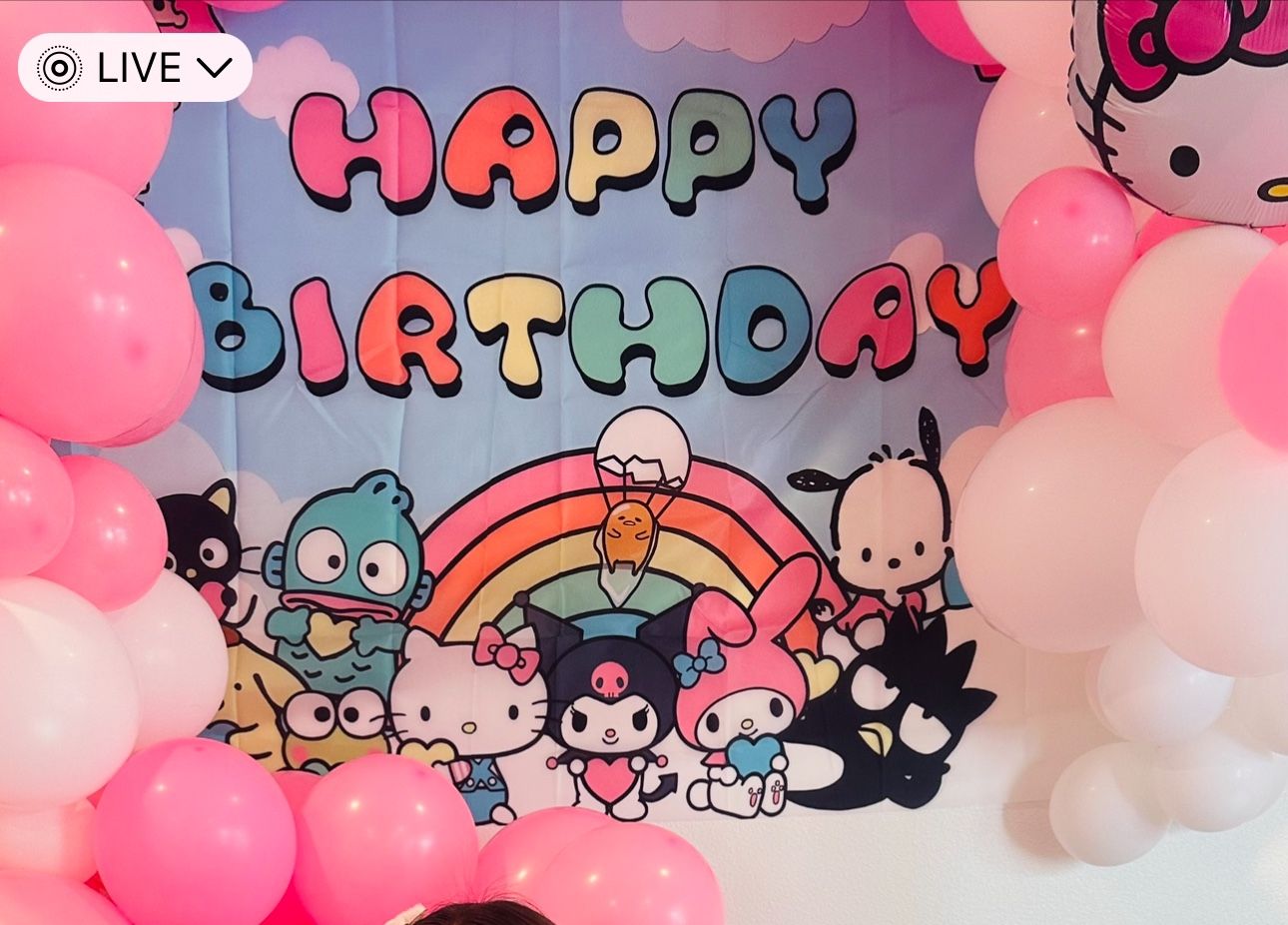 Hello kitty Backdrop