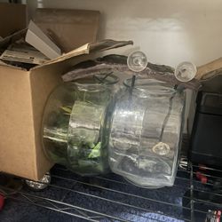 Reptile / Beta Tank Supply 
