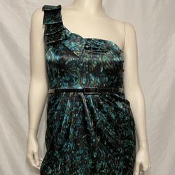 Dressbarn  Dress Women’s Size 14