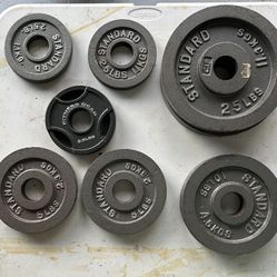 CAP Plate Weights 