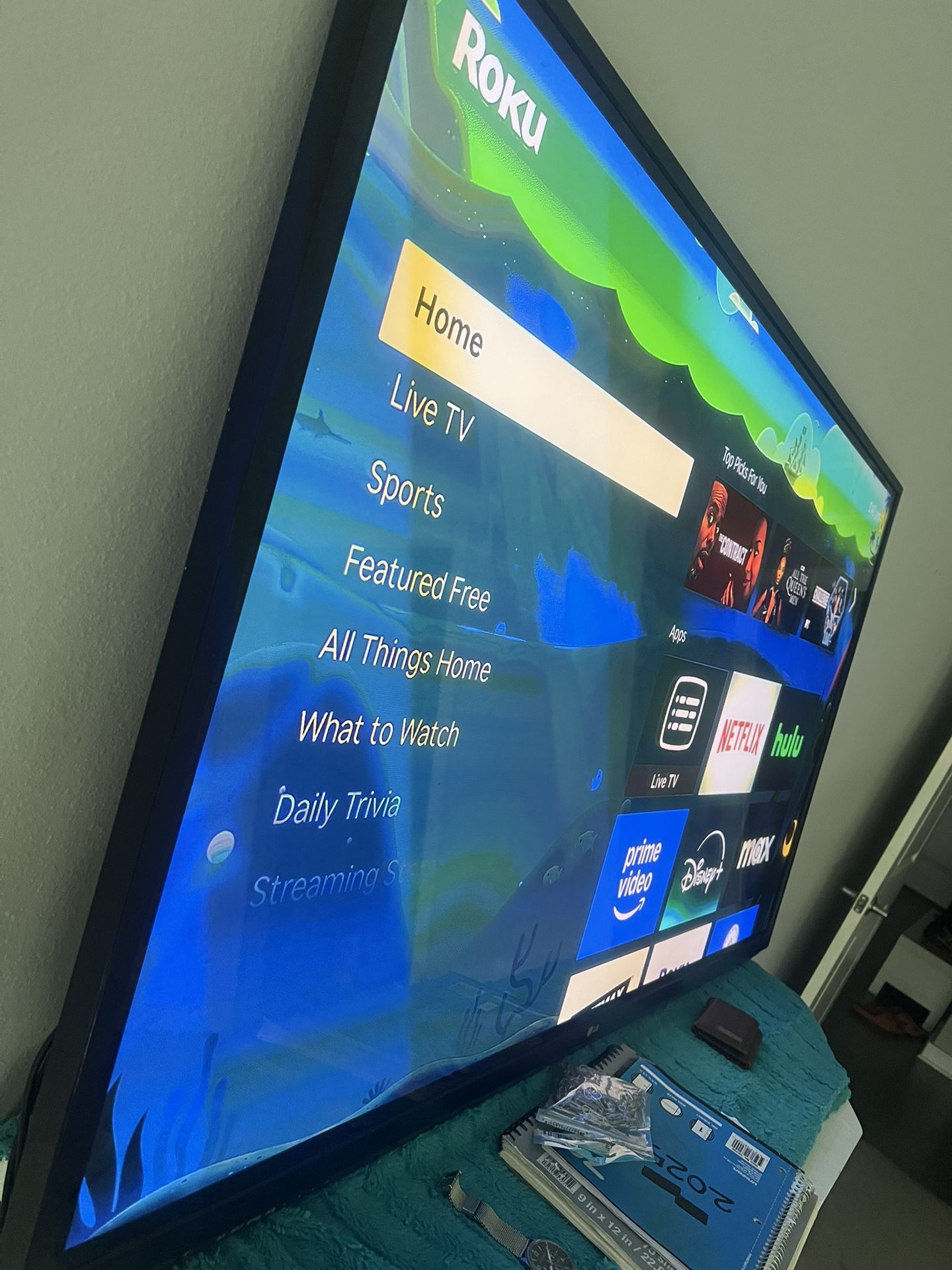 65 Inch Lg Tv For $180 comes With Roku and both remotes