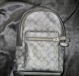 Coach crossbody for men