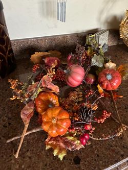 Fall flowers