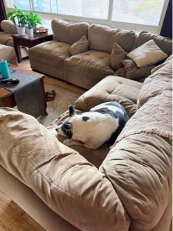 Free - world’s  most uncomfortable sectional sofa