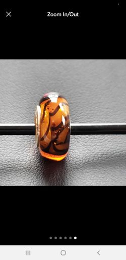 Can chamilia charms store fit pandora