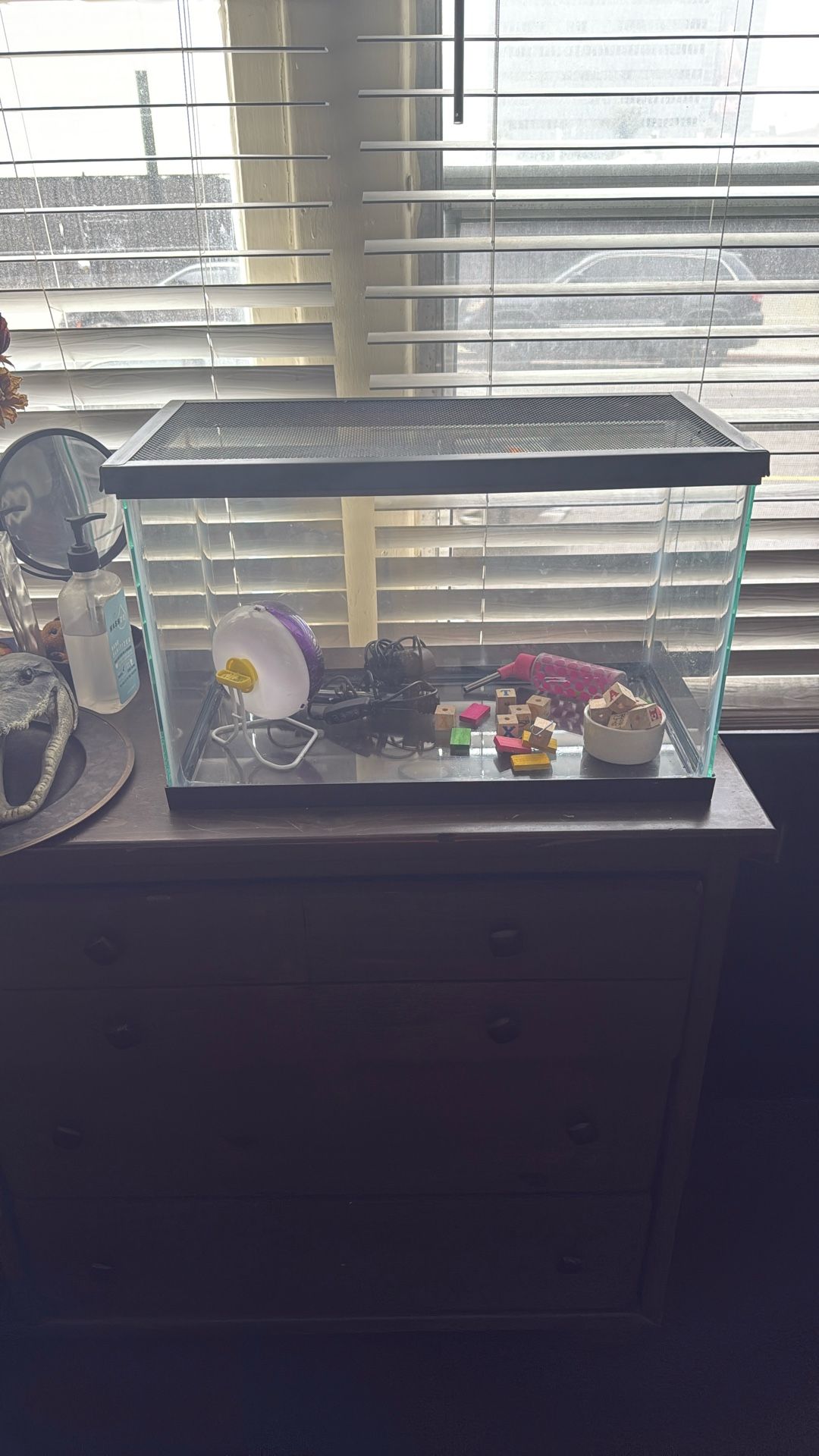 Fish & Hamster Tank