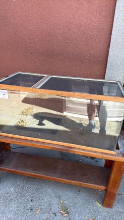 Reptile terrarium