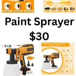Paint Sprayer 