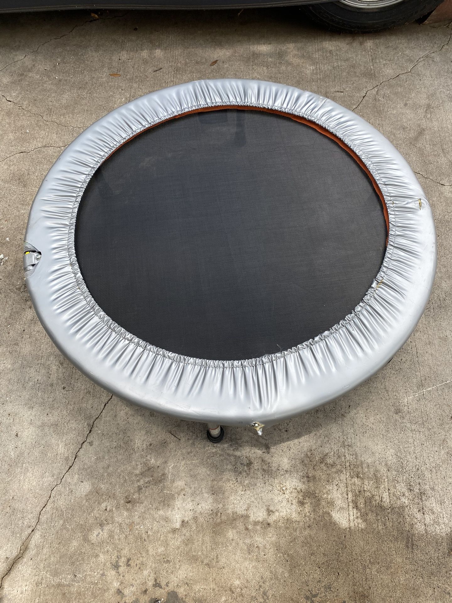 Exercise Trampoline