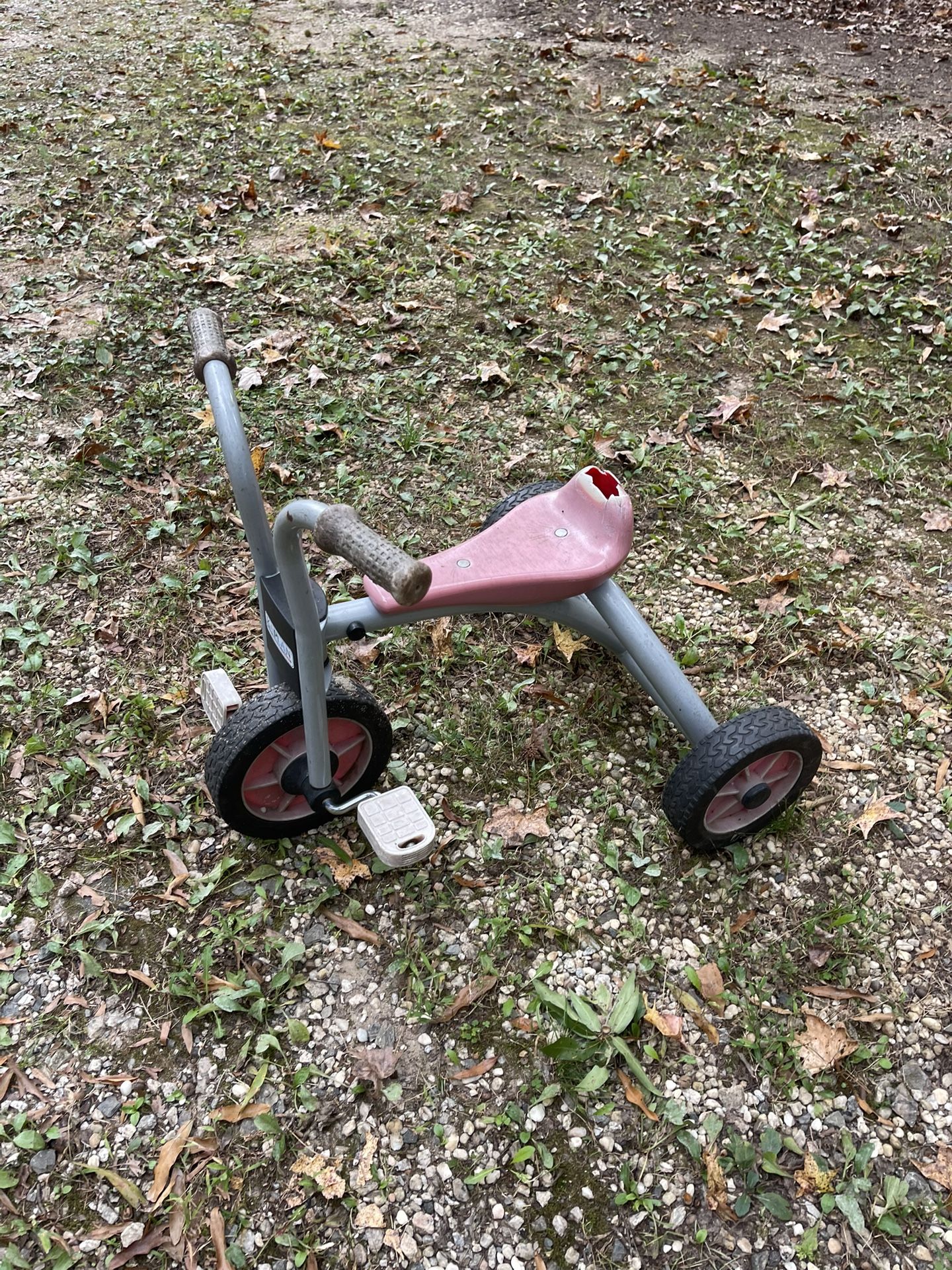 Toddler Trike