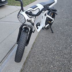 2025 VINCI ebike