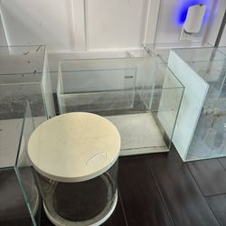 Fish Tanks