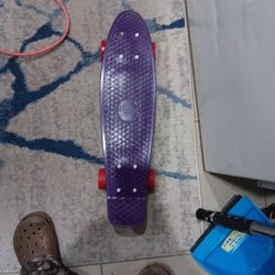 Penny Board Skateboard 