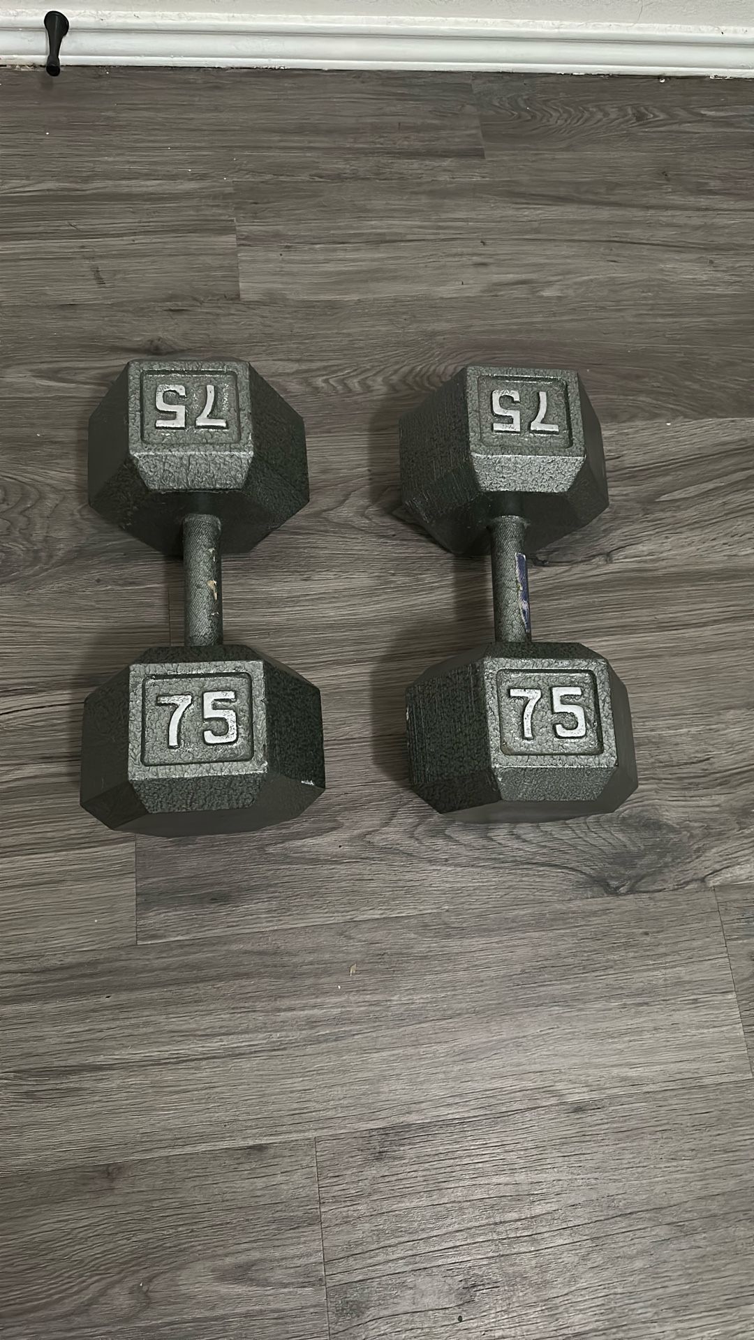 75 Pound Dumbbells