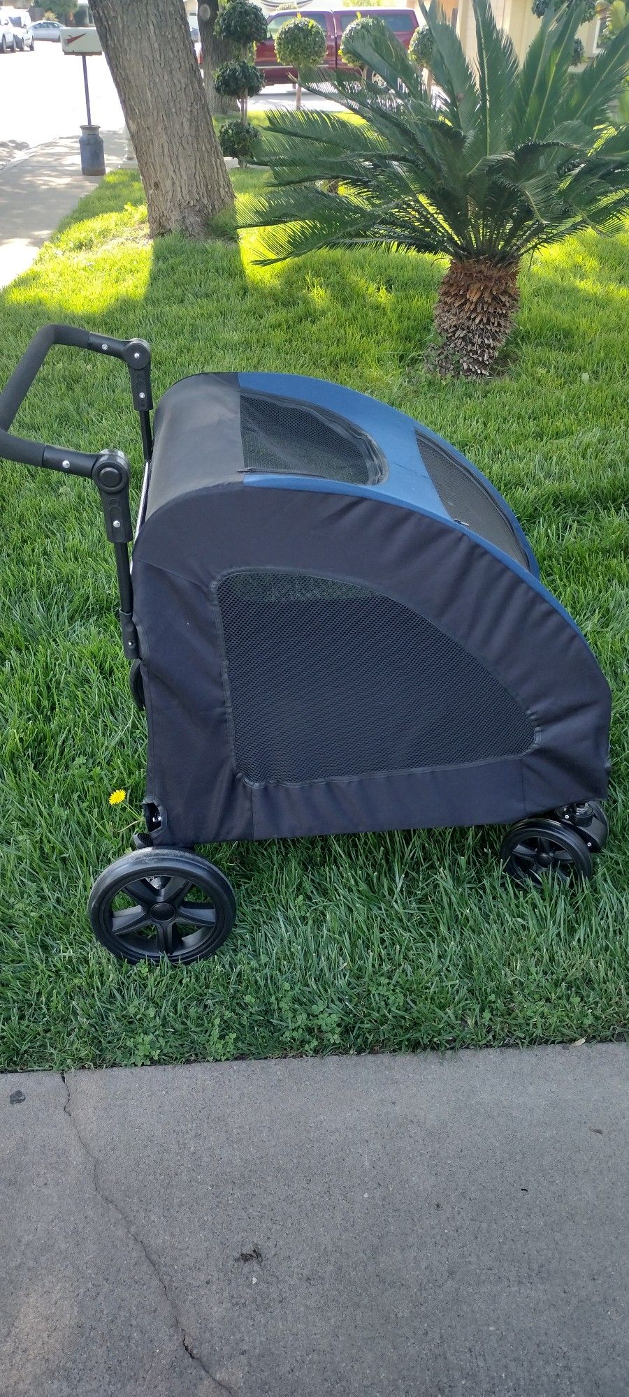 Dog Stroller