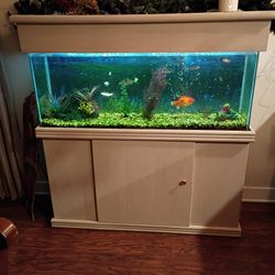 55 Gallon Fish Tank