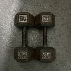 Dumbbells 35lb Set 