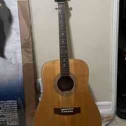 Mitchell Acoustic Guitar