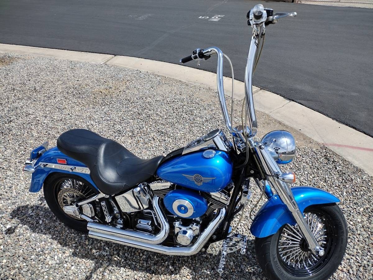 2002 Harley Davidson Flstf