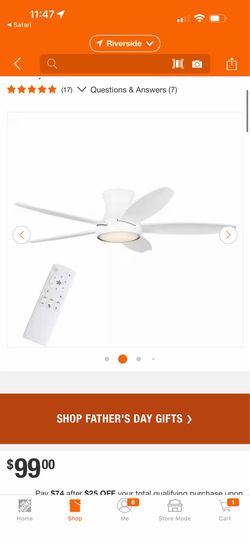 Ceiling fan