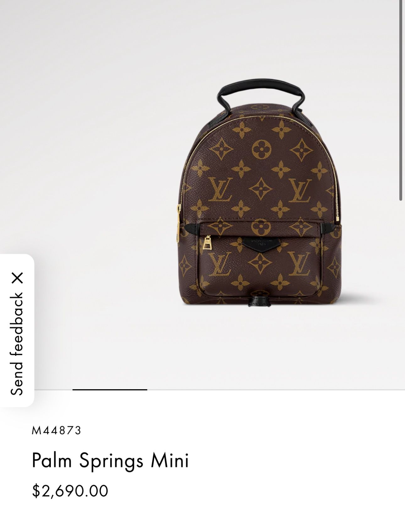 Louis Vuitton Palm Springs mini Backpack