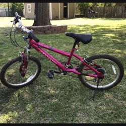 Boy's  and  girl’s Magna Great Divide Bike - Purple (20")