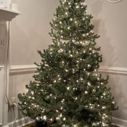 6.5' Blue Spruce Artificial Christmas Tree