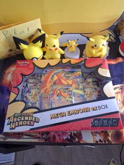 Mega Emboar Ex Box