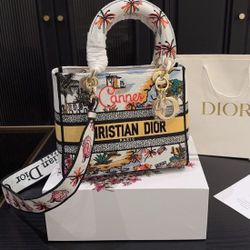 Dior City Limited Edition Tote Bag Handbag der Bagul