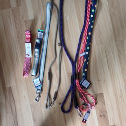 Leashes Leads Harnesses  Collars and clothing For Dogs 