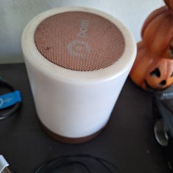 Speaker