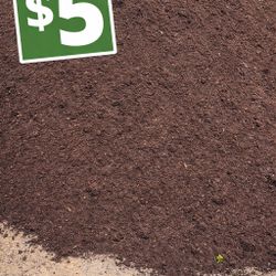 🟢 DIRT SALE – ONLY $5! 🟢