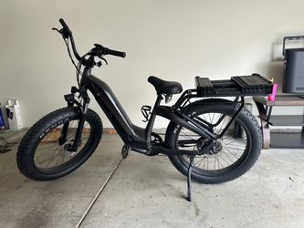 Fat Tire E Bike