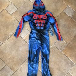 Spider-Man 2099 Costume 