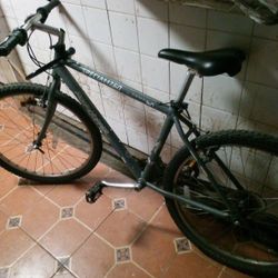 Specialized Bike 10 Speed