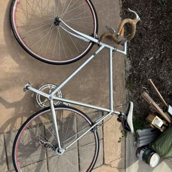 Campagnolo Road Bike 53cm