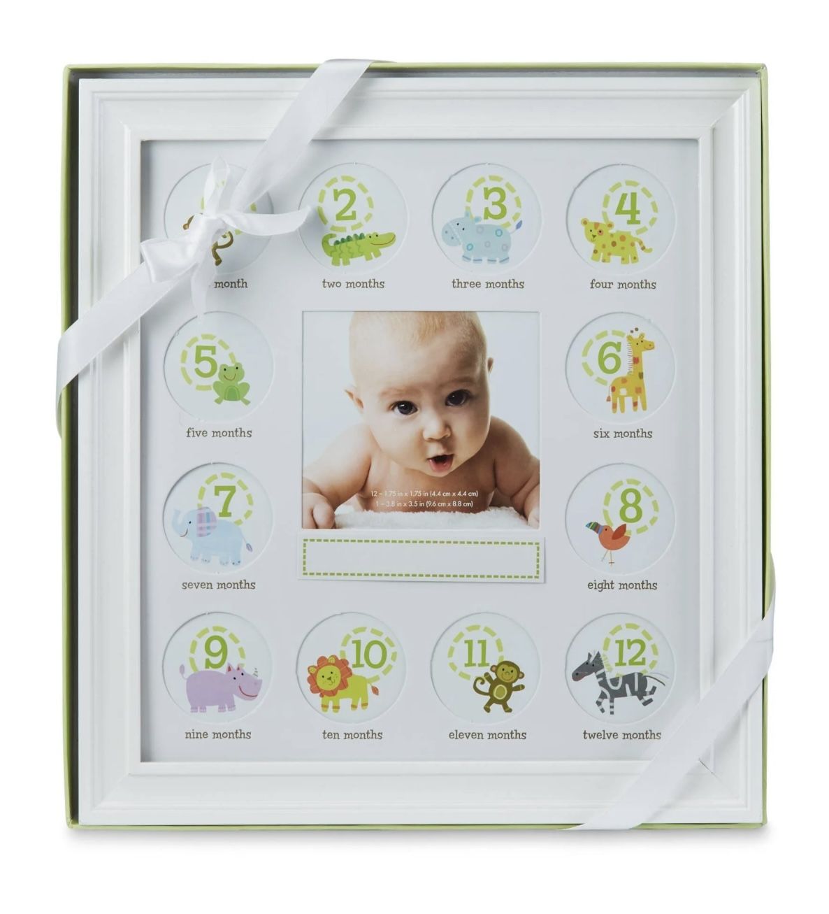 Stepping Stones Monthly Milestones Baby First Year Picture Frame