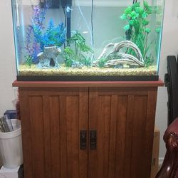 Fish Tank W/Stand