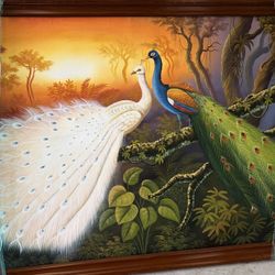 Beautiful Framed Hand Paint  Peacock & White Peacock Artwork