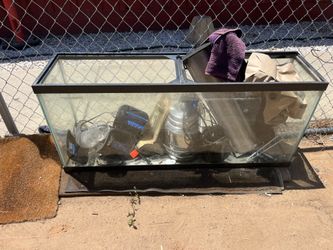 55 gallon tank