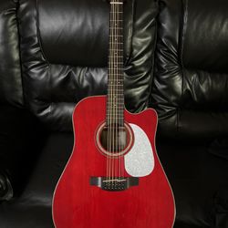 Takamine 12 string gd-30