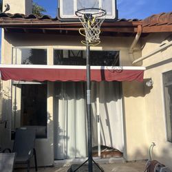 Lifetime Basketball Hoop