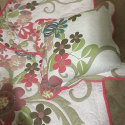 Quilted Shams And  Pillow (New)