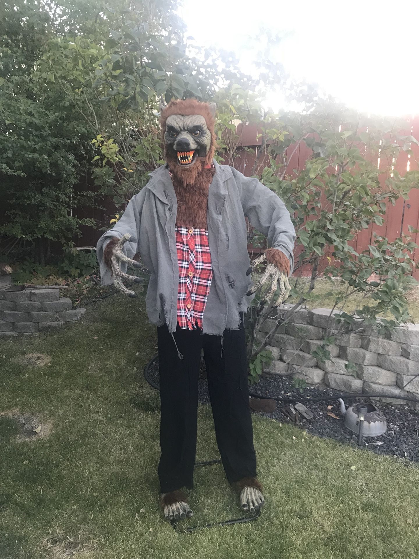 Halloween Life Size Animated Werewolf Sound Activated
