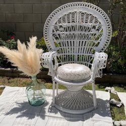 Peacock Chair 