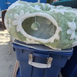 Cat Home