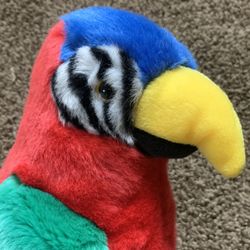 Ty The Beanie Buddies Collection "Jabber" Parrot 1999