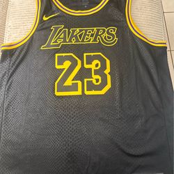 LeBron James Laker Jersey