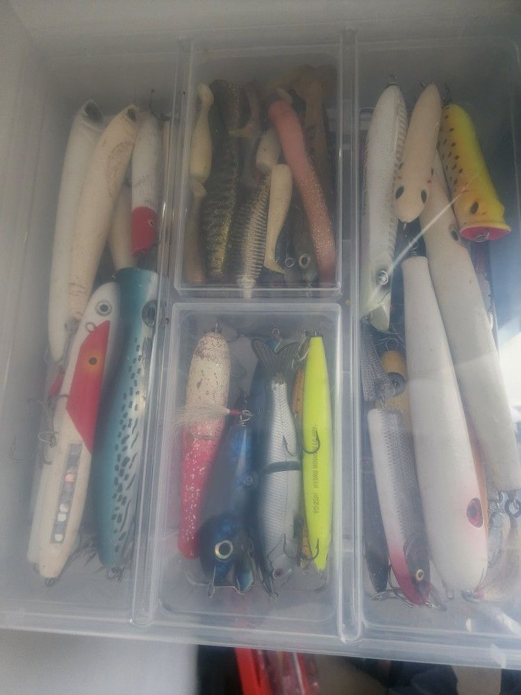 Lures Saltwater 